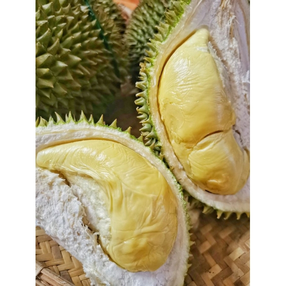 Sầu Riêng Truyền Thống VIP (Sầu riêng ăn không ngon bao đổi trả)